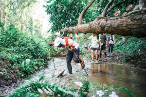 BIB: 
                            <button type="button" onclick="openModal(25515492)" class="btn btn-primary btn-sm float-right btn-popup" data-toggle="modal" data-target=".modal-high-quality">
                        <i class="fas fa-shopping-cart"></i> Add to Cart
                    </button>
                                            <button type="button" onclick="isThisMe(25515492, true)" class="btn btn-success btn-sm float-right btn-popup btn-isme hidden" data-toggle="tooltip" data-placement="bottom" title="นี่คือรูปของคุณใช่ไหม คลิกที่นี่เพื่อเอาเข้าอัลบั้ม">
                        <i class="fas fa-plus"></i> Add to album
                    </button>
                    <button type="button" onclick="isThisMe(25515492, false)" class="btn btn-warning btn-sm float-right btn-popup btn-isnotme hidden">
                        <i class="fas fa-ban"></i> Remove from album
                    </button>